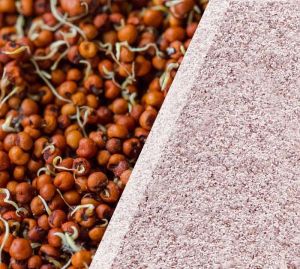 Sprouted Ragi Flour