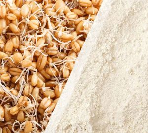 Sprouted Wheat Flour, Color : Light Beige for Baking
