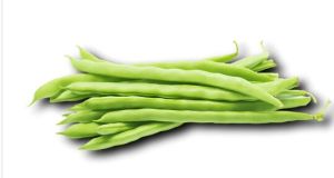 French Beans, Color : Green