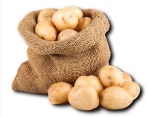 Common Fresh Potato