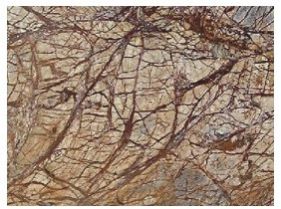 Rain Forest Brown  Marble