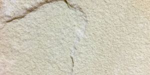 Mint Sandstone, Shape : Rectangular, Square