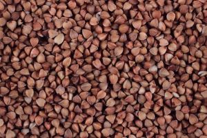 Buckwheat
