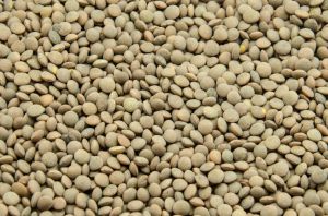 Green Lentils