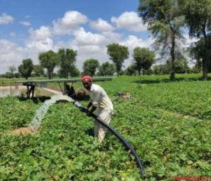 Solar Water Pump System