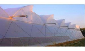 Green House White Covering