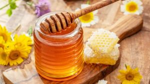 Organic Honey, Packaging Type : Glass Bottle