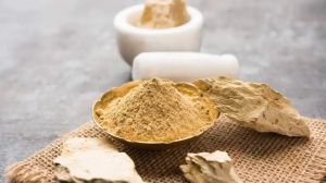 Organic Multani Mitti for Cosmetic, Ayurvedic, Personal Care