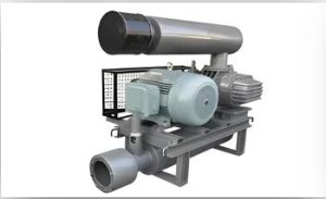 Bulker Unloading Pump