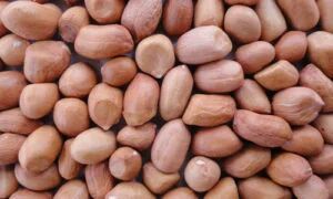 Hps Groundnut Kernels, Color : Brown