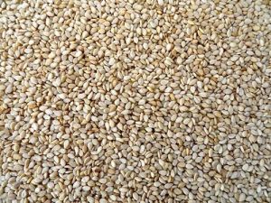Sesame Seeds, Packaging Type : Pastic Packet