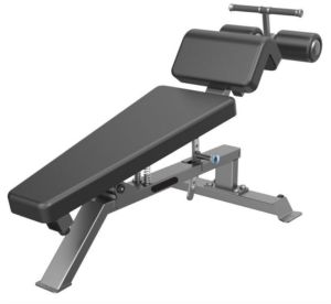 ABS Bench for Home Gym, Commercial Gym