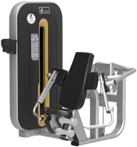 Bicep Curl for Upper Body Strength Building