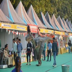 Outdoor Promotional Canopy Rental Service