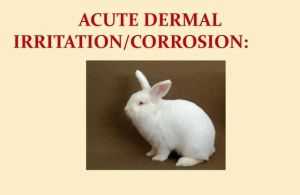 Acute Toxicology Laboratory Testing Services