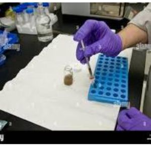 Long Term Accelerated Storage Stability Testing Service