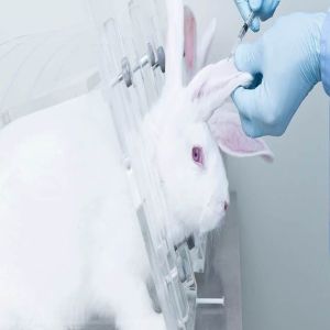 Material Mediated Pyrogenicity Testing