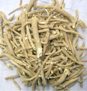 ashwagandha roots