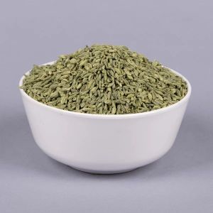 Seeds & Plant Saplings