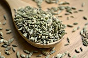 Green Natural Fennel Seeds