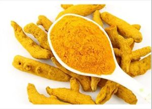 Natural Yellow Turmeric Powder, Packaging Type : Plastic Bag