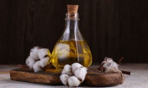 Refined Cotton Seed Oil