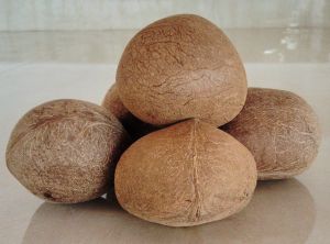 Whole Dry Copra Coconut