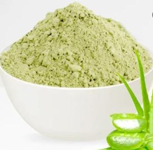 Aloe Vera Leaf, Color : Light Green, Packaging Type : PP Bags