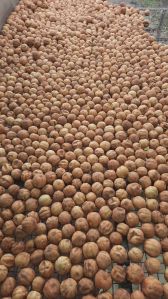 A Grade Sundried Yellow Lemon