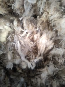 Greasy Wool