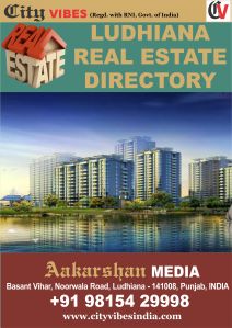 ludhiana real estate service