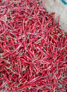 Chillies Spices