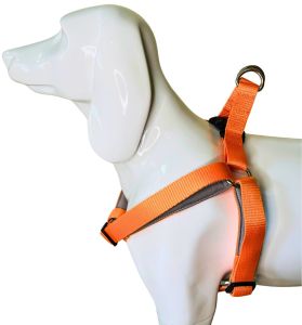 Plain Polyester Basket Dog Harness, Color : Assorted M, XL
