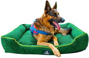 Pattern Lounger Dog Bed