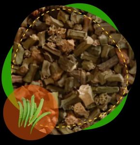 A Grade Freeze Dried Okra