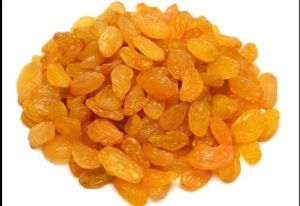 Dried Golden Raisin, Color : Golden/black for Snacking, Baking