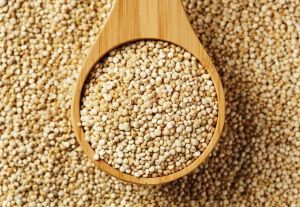 Indian Organic White Quinoa Seeds, Color : White/tricolor