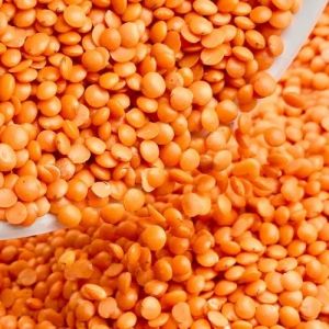 Red Split Lentils, Packaging Type : Pouch for Dal, Curries