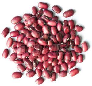 Red Organic Adzuki Beans, For Cooking, Grade Standard : Food Grade