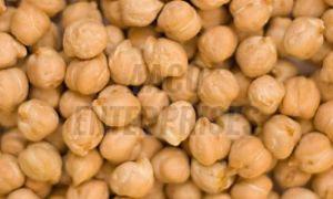 Solid Organic Chickpeas Beans, For Cooking, Variety : Kabuli Chana