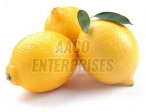 Organic Fresh Lemon, For Pickles, Fast Food, Drinks, Feature : Reduce Health Issue, Non Harmful, Natural Taste