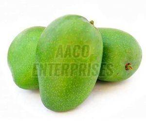 Organic Fresh Raw Mango, For Direct Consumption, Food Processing, Making Pickle, Packaging Type : Corrugated Box