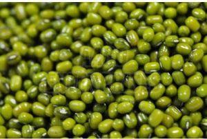 Organic Mung Beans, Packaging Type : Green, Packaging Size : 50 Kg