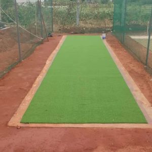 Artificial Plastic 15 Mm Cricket Astro Turf, Packaging Type : Green