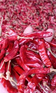 Organic Dry Red Chilli, Packaging Size : 25-50kg Food Grade