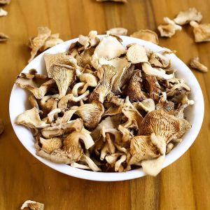 Brown Dehydrated Dry Mushroom Vacuum-sealed Bag