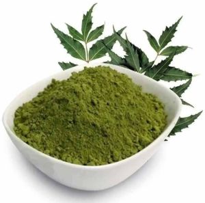 Green Dehydrated Neem Powder, Packaging Type : Resealable Pouch