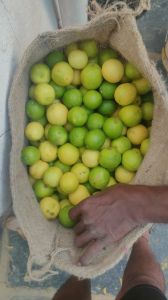 Natural Lemon, Packaging Size : 5kg, 10kg, 15kg, 20Kg