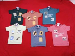 Looper Fabric / Cotton Blend Boys Printed Polo T-shirts