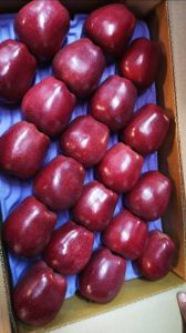 Gowhar Natural Kashmir Red Delicious Apple, Packaging Size : 15Kg
